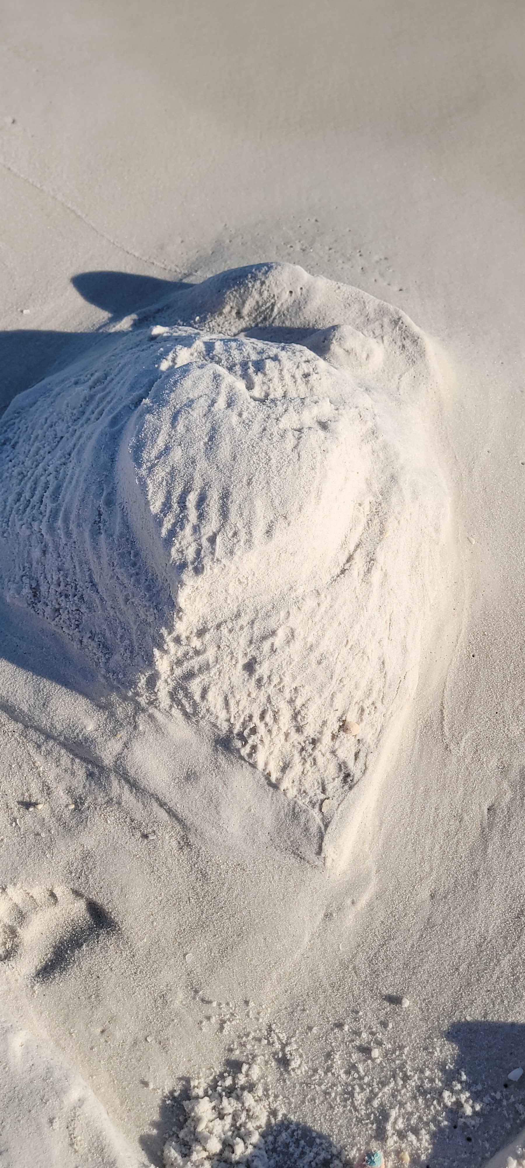 Florida Family Travel Guide for Sports Moms