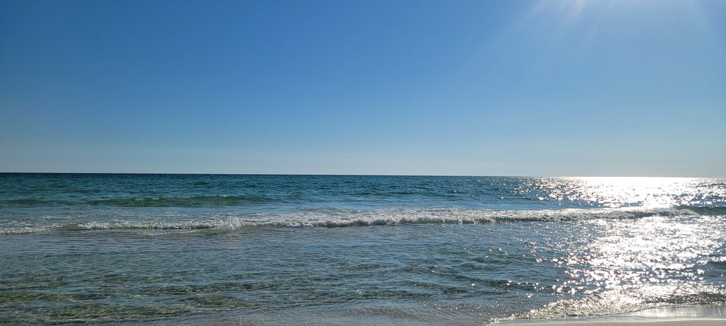 Florida Travel Playbook